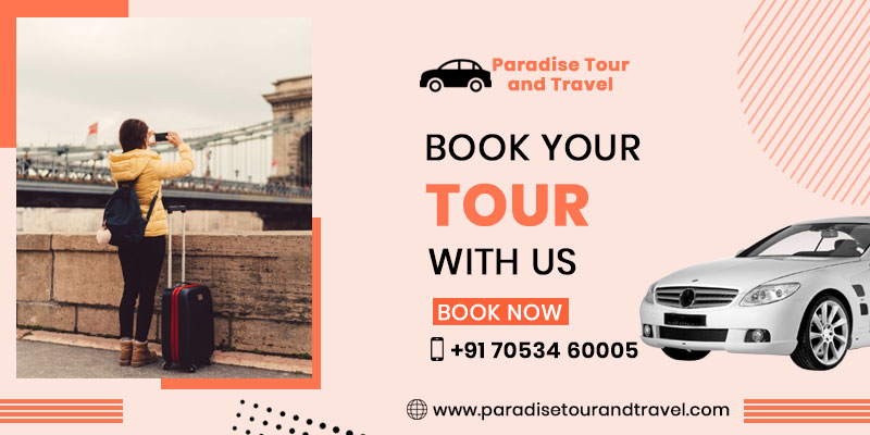 Paradise-tour-and-travel Bathinda,70534 60005