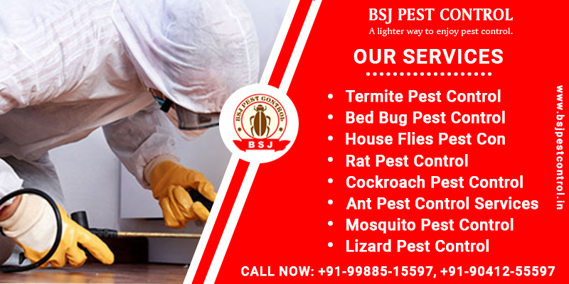 Bsj Pest Control Bathinda :+91 99885-15597